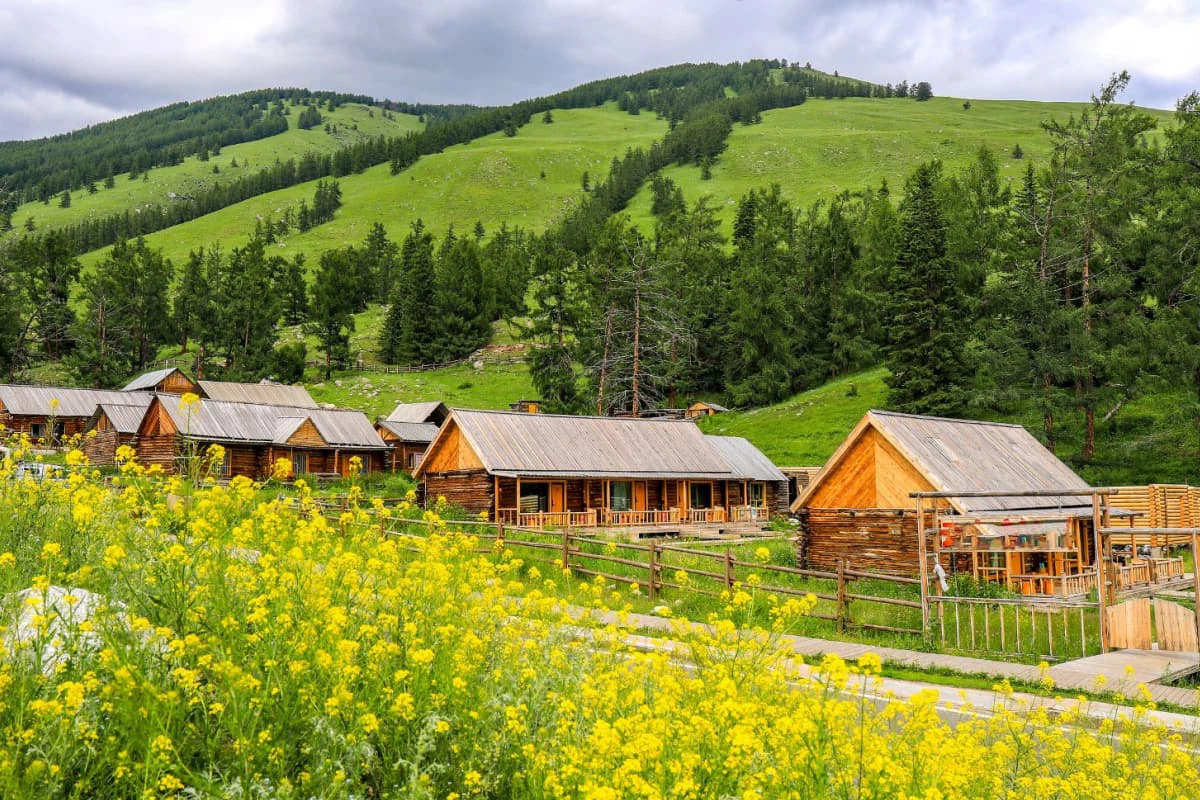 product-1200-800 product-1200-800